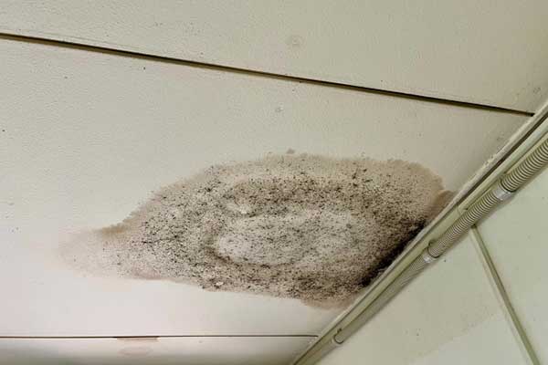 クロスにカビがある、部屋がカビ臭い